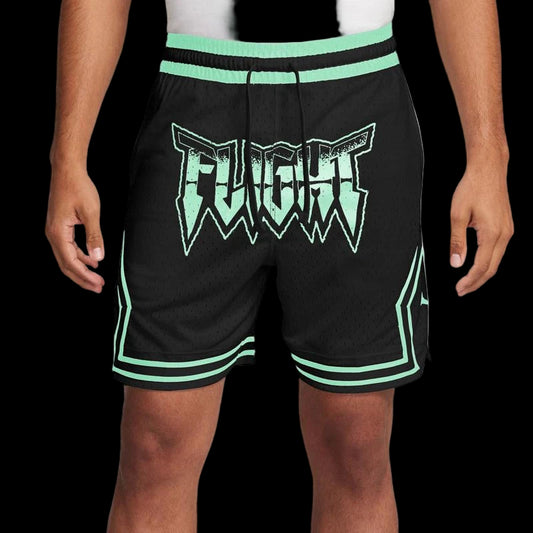 Men's Nike Flight Jordan Shorts