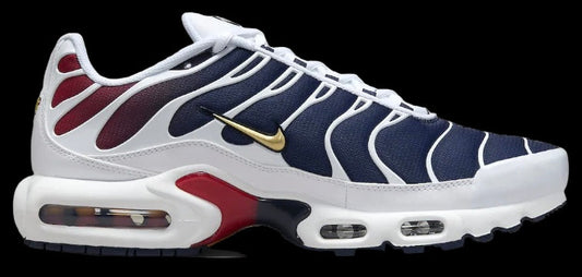 Nike Air Max Plus ‘PSG’
